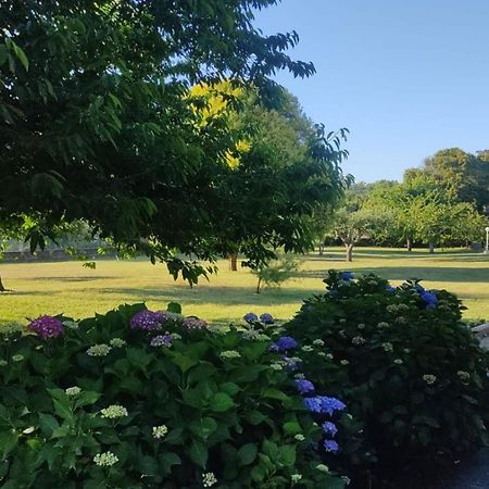 Alloggio Turistico Dakota Manziana Εξωτερικό φωτογραφία